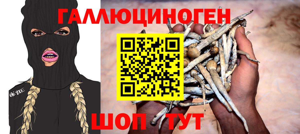Галлюциногенные грибы MAGIC MUSHROOMS  Вход с VPN  Павлово 
